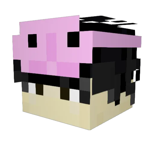 BlobbyWuze Minecraft avatar head, 3D render
