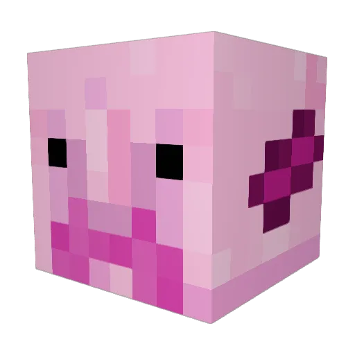 Blobster69420 Minecraft avatar head, 3D render
