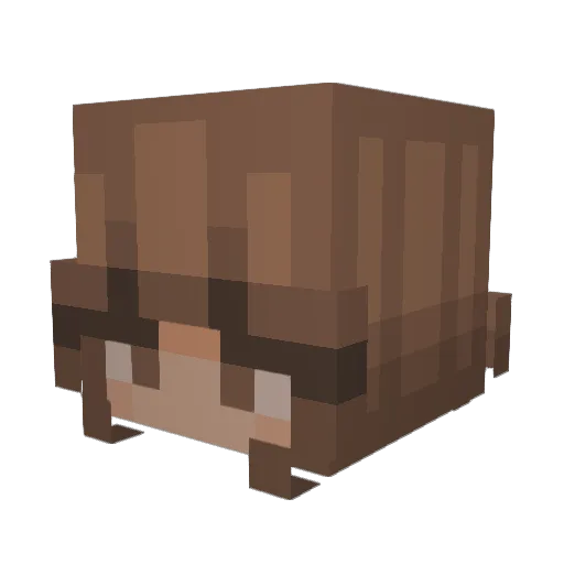 Blobvi5 Minecraft avatar head, 3D render