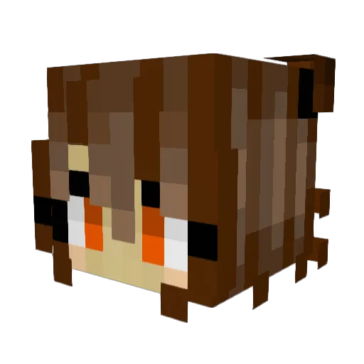 Bloccelious Minecraft avatar head, 3D render