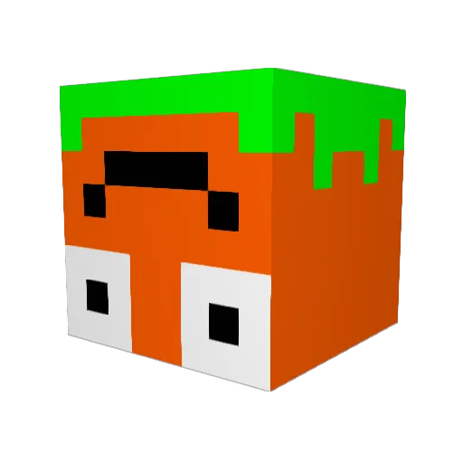 BlochBros Minecraft avatar head, 3D render