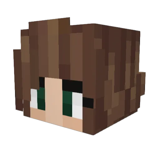 BlockBuilder456 Minecraft avatar head, 3D render