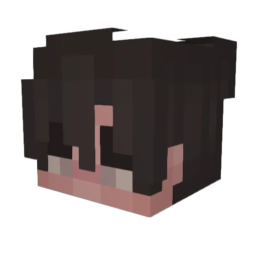 BlockBurcki Minecraft avatar head, 3D render