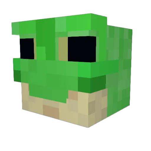 BlockBuster1140 Minecraft avatar head, 3D render