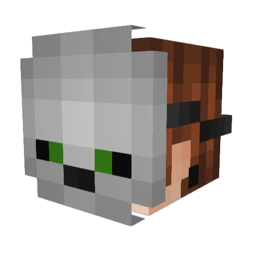 BlockBuster20091 Minecraft avatar head, 3D render
