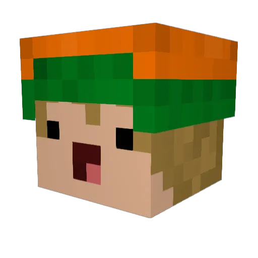 BlockBuster6456 Minecraft avatar head, 3D render
