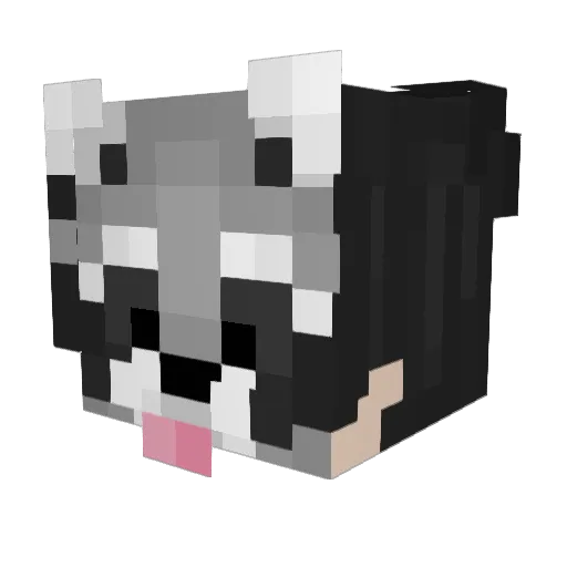 BlockBuster791LG Minecraft avatar head, 3D render