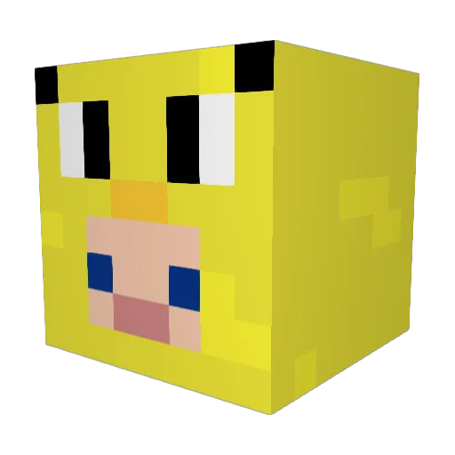 BlockBusterDVD Minecraft avatar head, 3D render