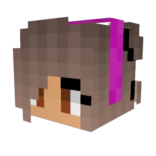 BlockBusterNW14 Minecraft avatar head, 3D render