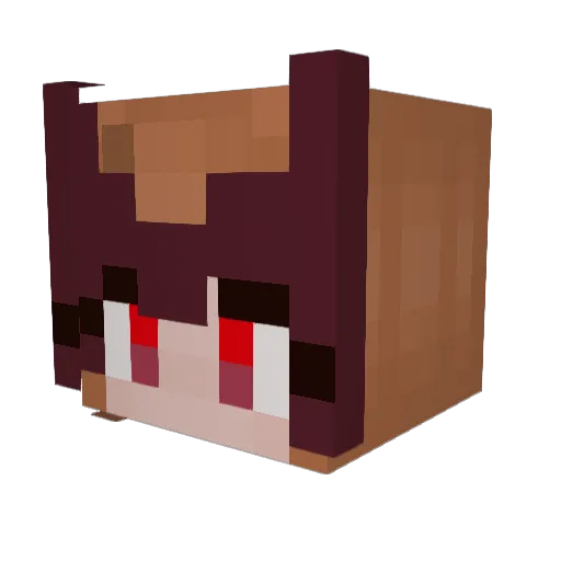 BlockBuster_Kid Minecraft avatar head, 3D render