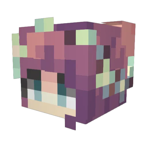 BlockChain99 Minecraft avatar head, 3D render