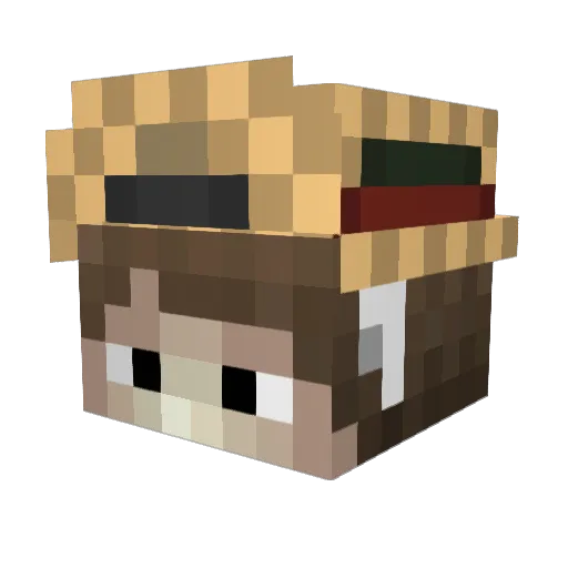 BlockEduTain2 Minecraft avatar head, 3D render