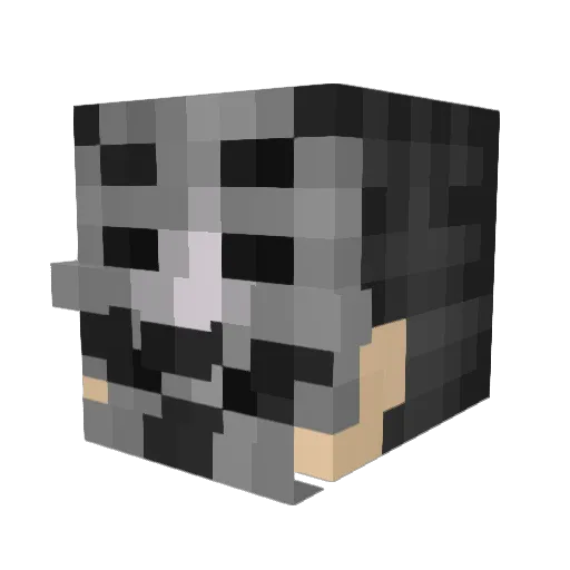 BlockG_ Minecraft avatar head, 3D render