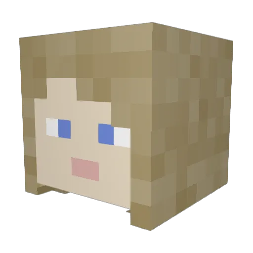 BlockHead2908 Minecraft avatar head, 3D render
