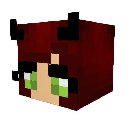 BlockHead9611 Minecraft avatar head, 3D render