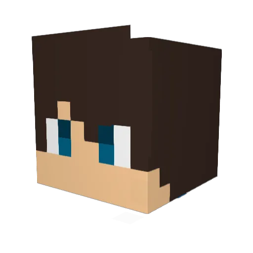 BlockIlhanYTB Minecraft avatar head, 3D render
