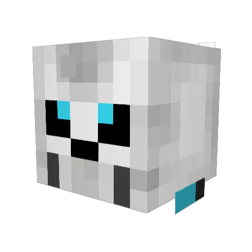 BlockMaster4903 Minecraft avatar head, 3D render