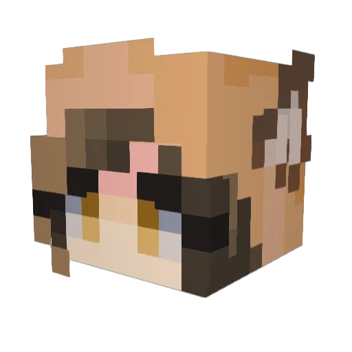 BlockMatti11 Minecraft avatar head, 3D render