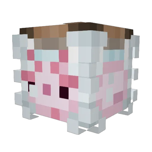 BlockOliver1000 Minecraft avatar head, 3D render
