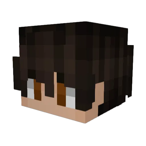 BlockSteave Minecraft avatar head, 3D render