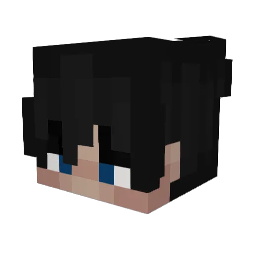 Block_51 Minecraft avatar head, 3D render