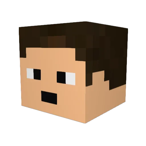 Block_Head9 Minecraft avatar head, 3D render