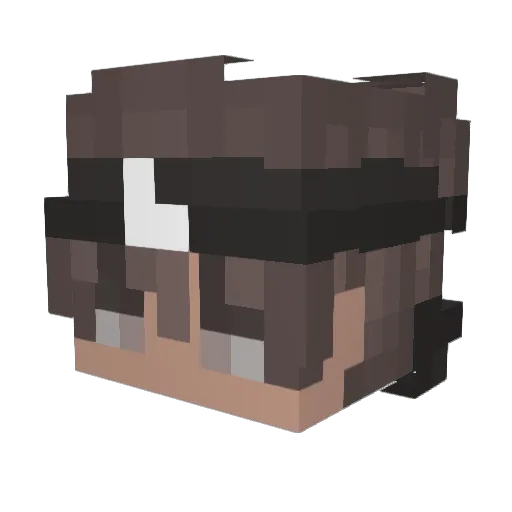 Blockbuster1178 Minecraft avatar head, 3D render