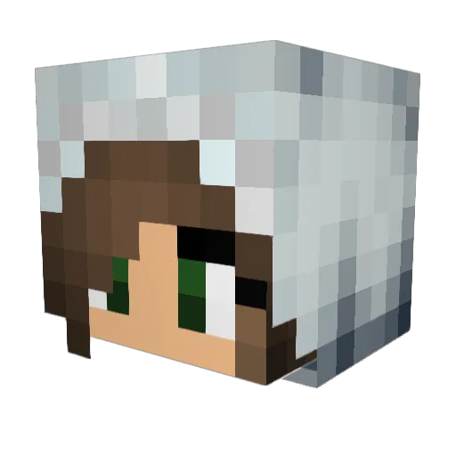 Blockbuster4287 Minecraft avatar head, 3D render