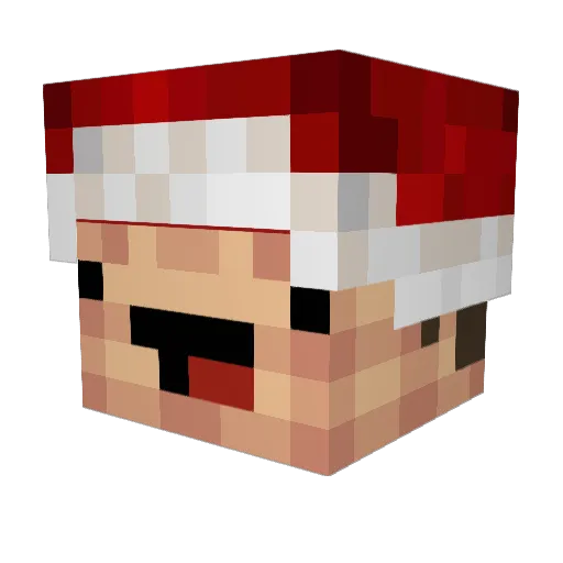 Blockbuster851 Minecraft avatar head, 3D render