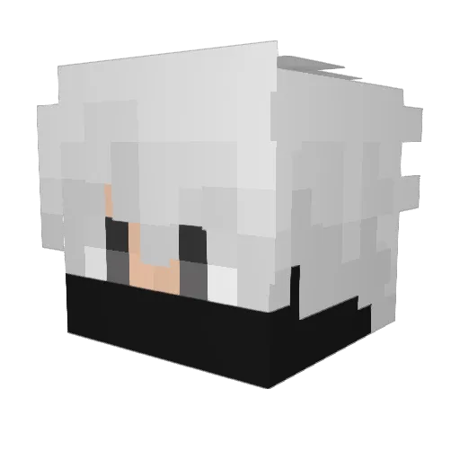 Blockfrog12345 Minecraft avatar head, 3D render