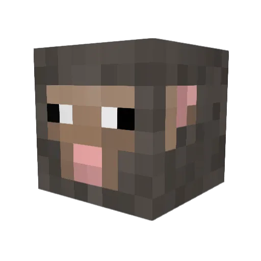 Blockgamer2020 Minecraft avatar head, 3D render