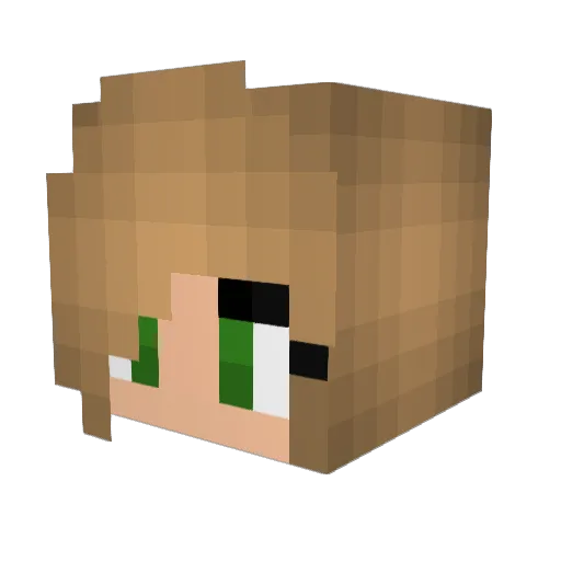 Blockhead033 Minecraft avatar head, 3D render