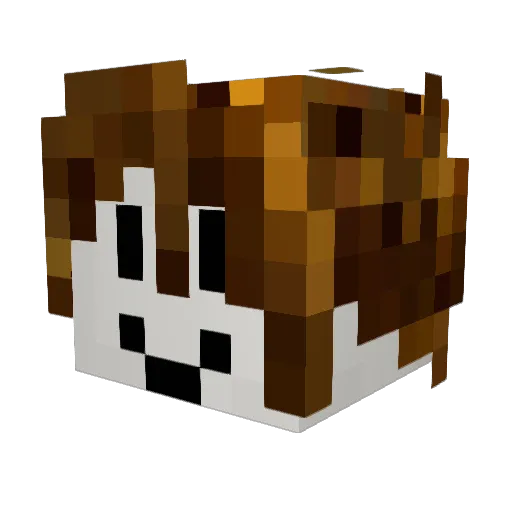 BlockheadBobby Minecraft avatar head, 3D render