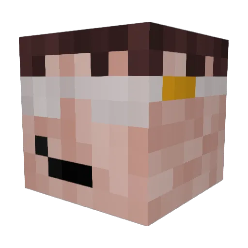 Blockheadedboy Minecraft avatar head, 3D render