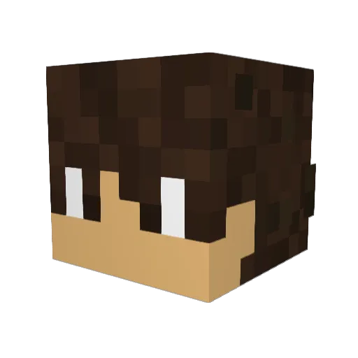 Blockinator01 Minecraft avatar head, 3D render