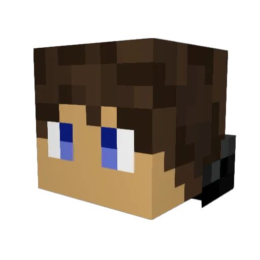 Blockinator2002 Minecraft avatar head, 3D render