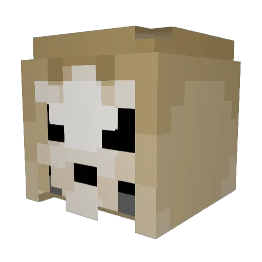 Blocklotheous Minecraft avatar head, 3D render