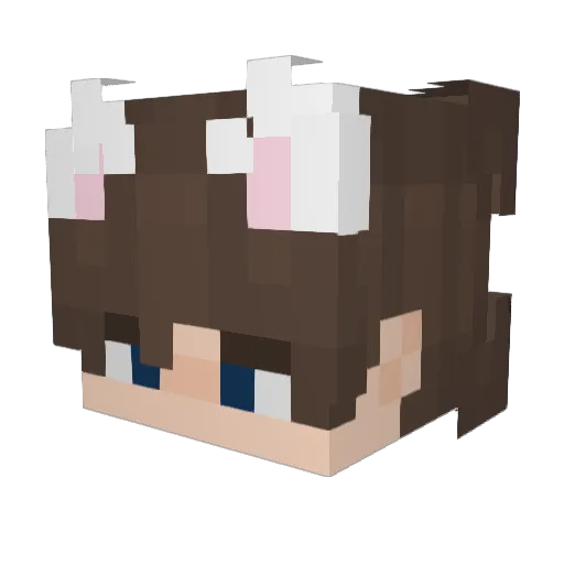 BlockmasterENO Minecraft avatar head, 3D render
