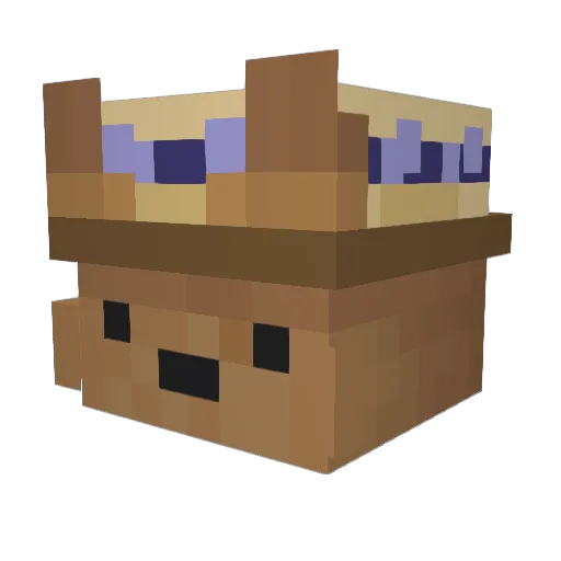 Blocknadoo Minecraft avatar head, 3D render