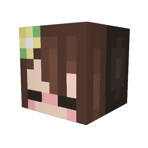 Blockor192 Minecraft avatar head, 3D render