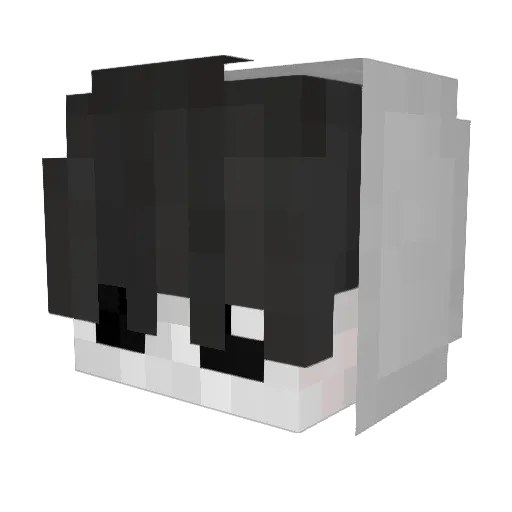 Blockpollo Minecraft avatar head, 3D render