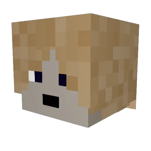 BlocksArkitekt Minecraft avatar head, 3D render
