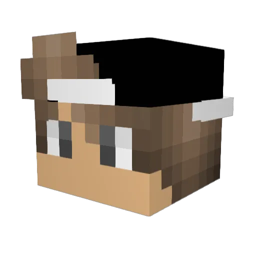 Blocksterpv Minecraft avatar head, 3D render