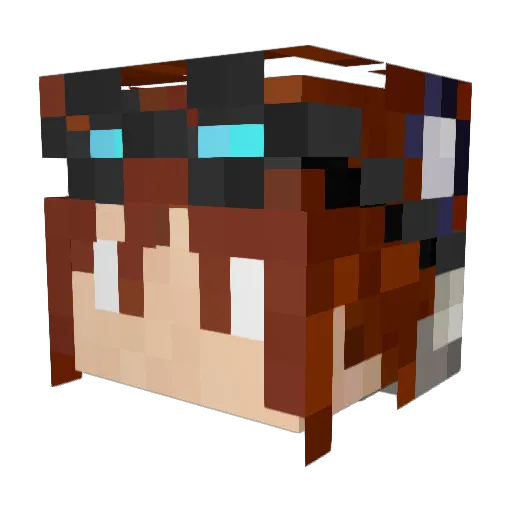 Blocktastic1 Minecraft avatar head, 3D render