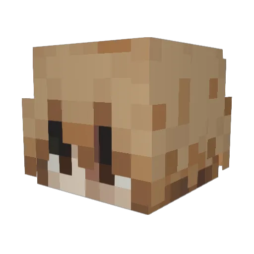 Blocktueur Minecraft avatar head, 3D render