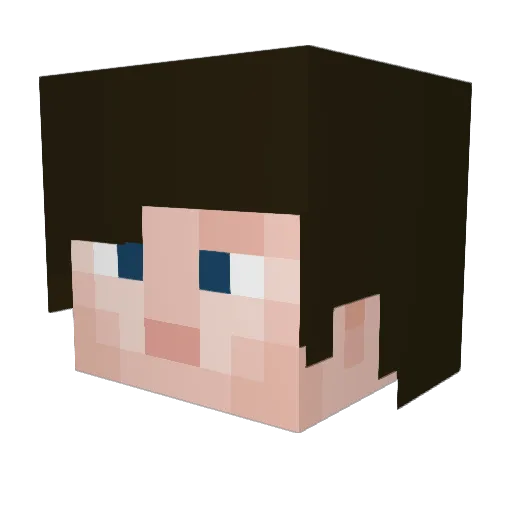 Blocky113 Minecraft avatar head, 3D render