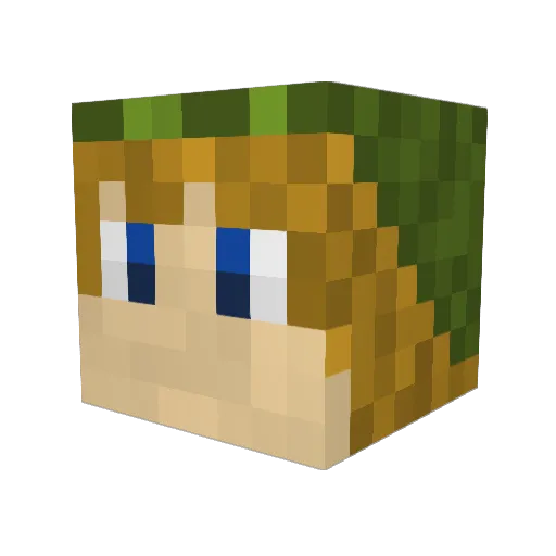 Blocky35 Minecraft avatar head, 3D render