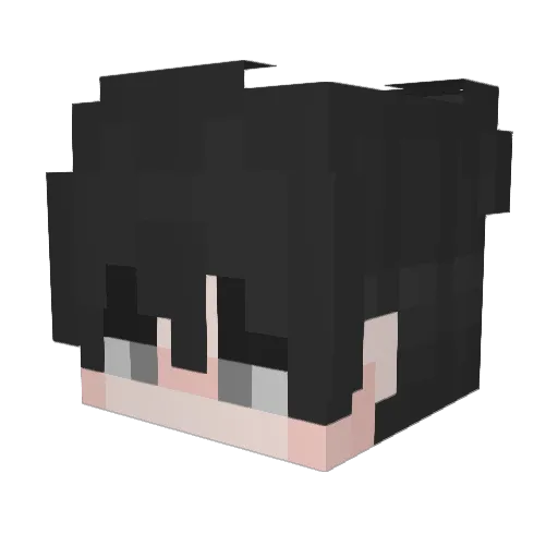 BlockyBro3495 Minecraft avatar head, 3D render