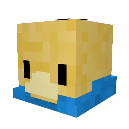 BlockyDuck89 Minecraft avatar head, 3D render