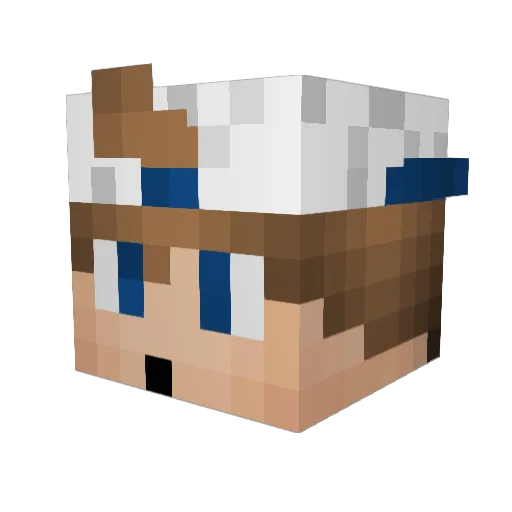 BlockyFelix Minecraft avatar head, 3D render